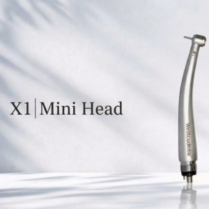 Home x1 mini head